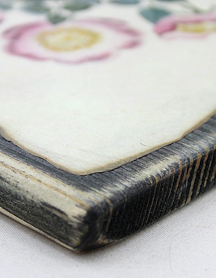 Репродукция акварели Джорджа Брукшоу из «Трактата о живописи цветов» 1816 года – розы, ботаническая иллюстрация на состаренной доске 14,5×22 см