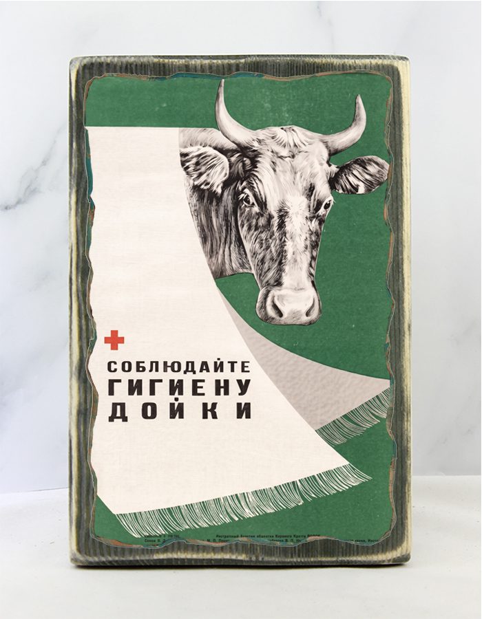 Коллекция деревянных табличек с советскими санитарными плакатами о гигиене на состаренной доске для ванной, кухни и бани